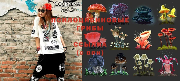 бутират Богданович