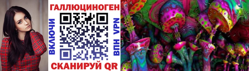 Галлюциногенные грибы GOLDEN TEACHER купить цена Свирск